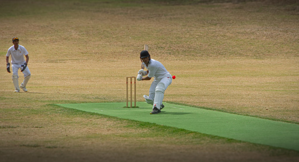two men playing a game of cricket on a field