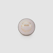 SG Shield 20 White Leather Cricket Balls – Box of 12