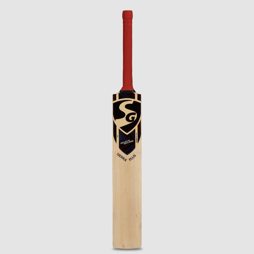 SG Sierra Plus Size 4 Kashmir Willow cricket bat detail
