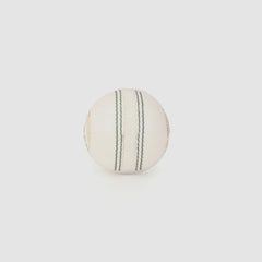 SG Super 50 White Cricket Ball