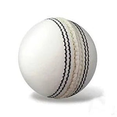 Cricket Practice Ball - NZ Cricket Store