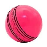 Cricket Practice Ball - NZ Cricket Store